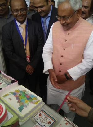 Same Day Delivery Pull Me Up Cake 1k G Minnie Mouse 1199